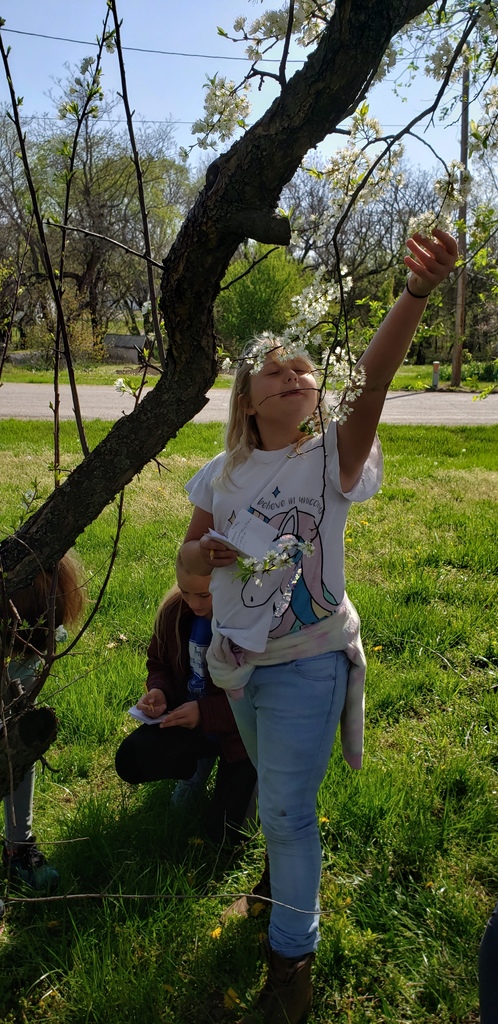 Nature Pic