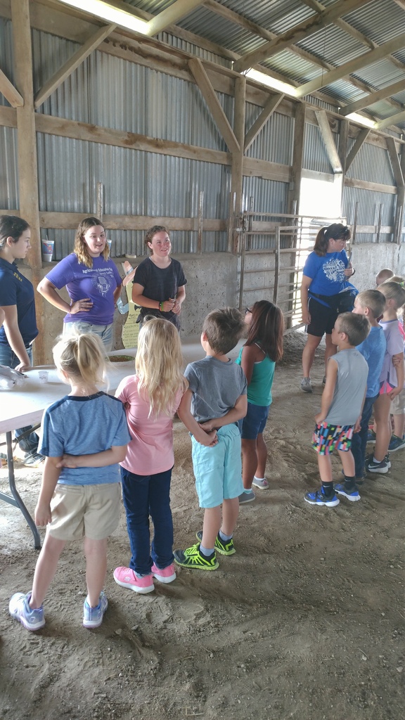 First Graders at Ag. Day on the Farm
